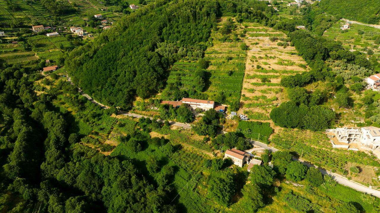 Hill View