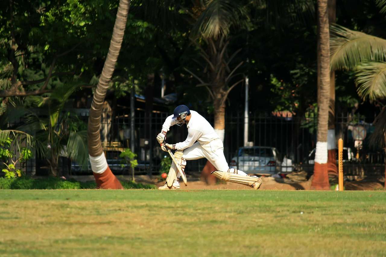 cricket-ground